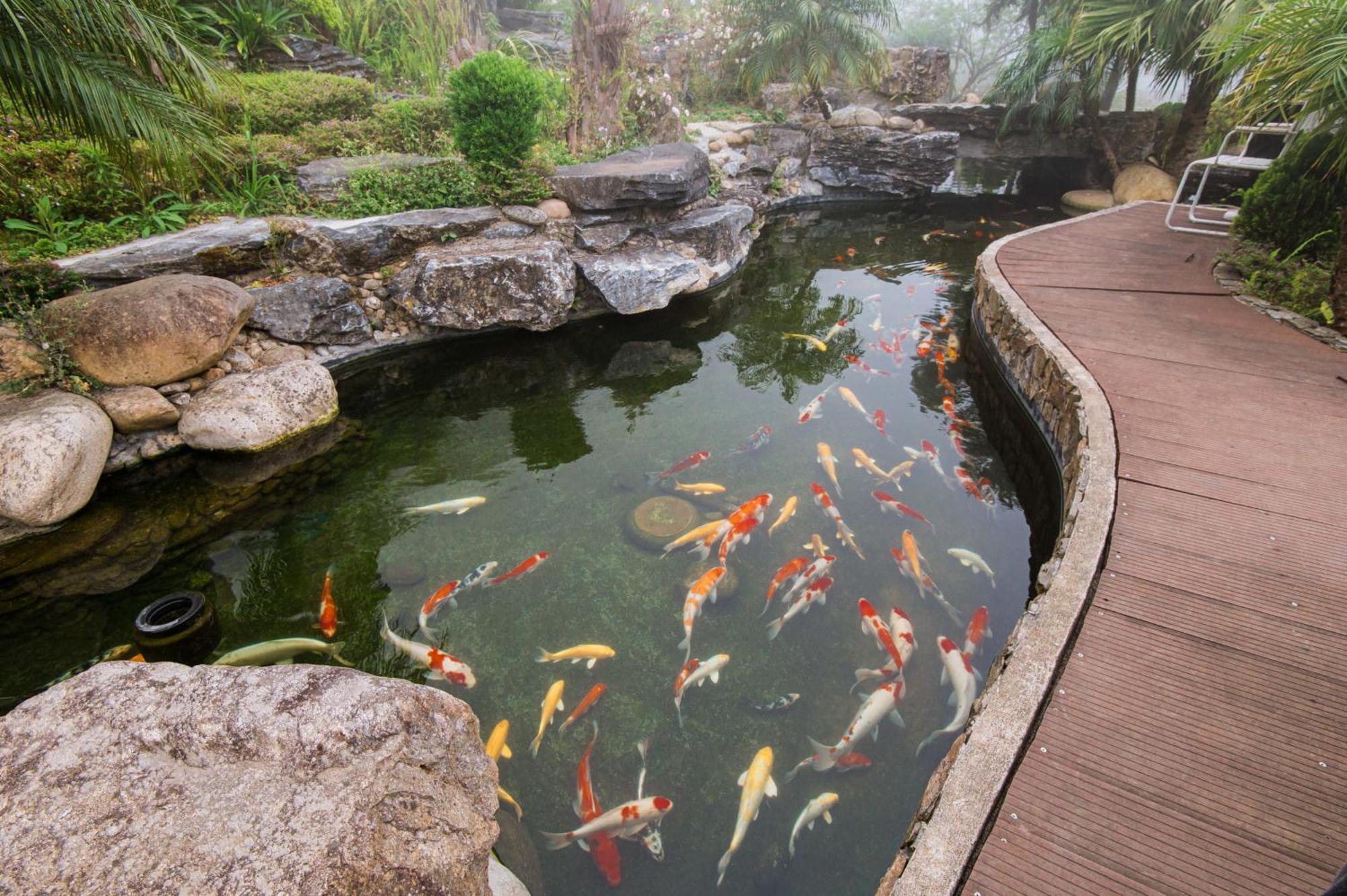 Sapa Catcat Hills Resort & Spa Экстерьер фото